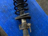 Front shock absorber with coil spring