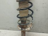 Front shock absorber with coil spring