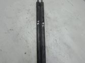Tailgate/trunk strut/damper