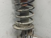 Front shock absorber with coil spring