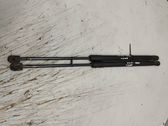 Tailgate/trunk strut/damper