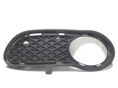 Front fog light trim/grill