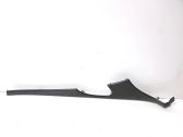 Front door trim (molding)