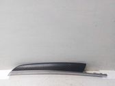 Front door trim bar