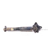 Rear shock absorber/damper