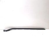 Windshield trim