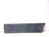 Front door trim (molding)