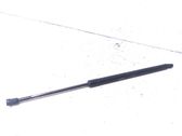 Tailgate strut