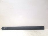 Front door trim (molding)