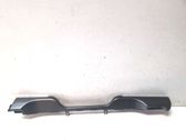 Dashboard trim