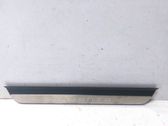 Front sill trim cover