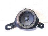 Front door speaker