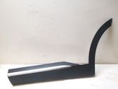 Rear door trim (molding)