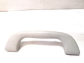 Front interior roof grab handle