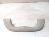Front interior roof grab handle