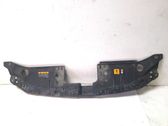 Engine bonnet/hood lock trim molding