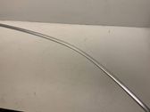 Front door glass trim molding