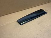 Rear door glass trim molding