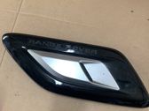 Ziergitter Motorhaube