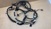 Tailgate/trunk wiring harness