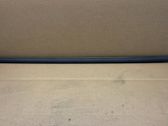 Rear door glass trim molding