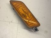 Front fender indicator light