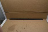 Front door glass trim molding