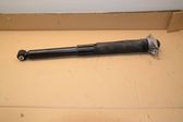 Rear shock absorber/damper
