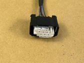 Other wiring loom