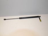 Tailgate/trunk strut/damper