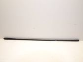 Other front door trim element