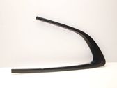 Rear door glass trim molding