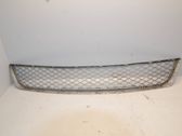 Front bumper lower grill