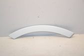 Fender trim (molding)