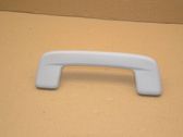 Front interior roof grab handle