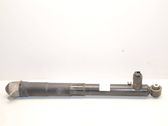 Rear shock absorber/damper