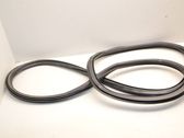 Rear door rubber seal (on body)