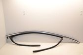 Rubber seal front door (on door)