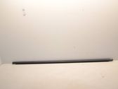 Rear door glass trim molding