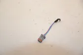 Other wiring loom