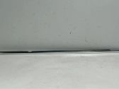 Other rear door trim element
