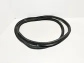 Front door rubber seal