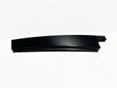 Rear door glass trim molding