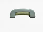 Front interior roof grab handle