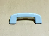 Front interior roof grab handle