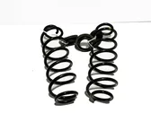 Rear coil spring