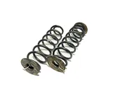 Rear coil spring