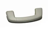 Front interior roof grab handle