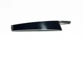 Front door glass trim molding