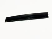 Rear door glass trim molding